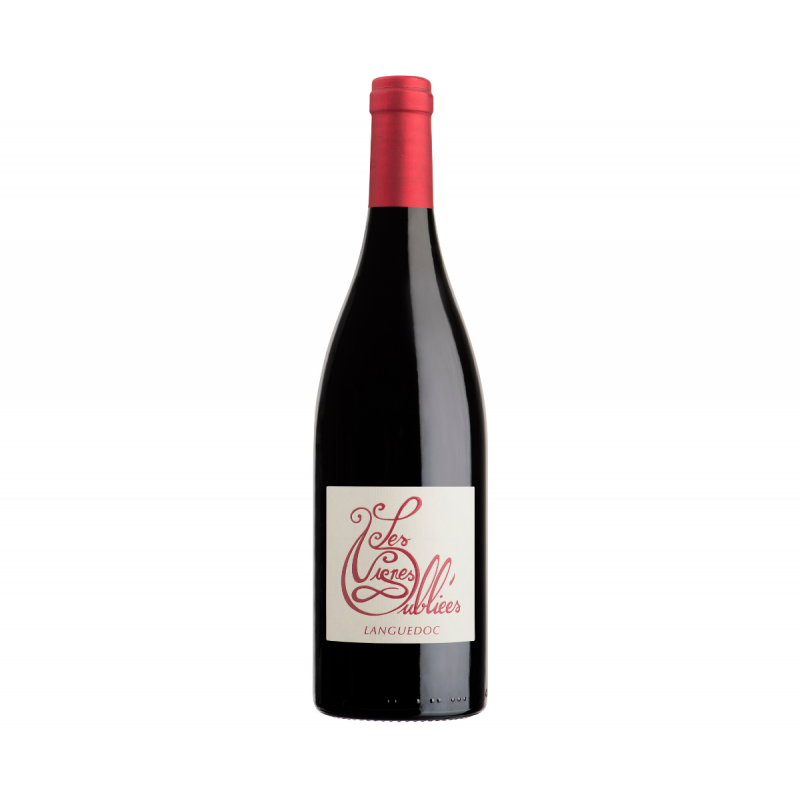 Languedoc - Autour du cinsault - 2023 - Les Vignes Oubliées