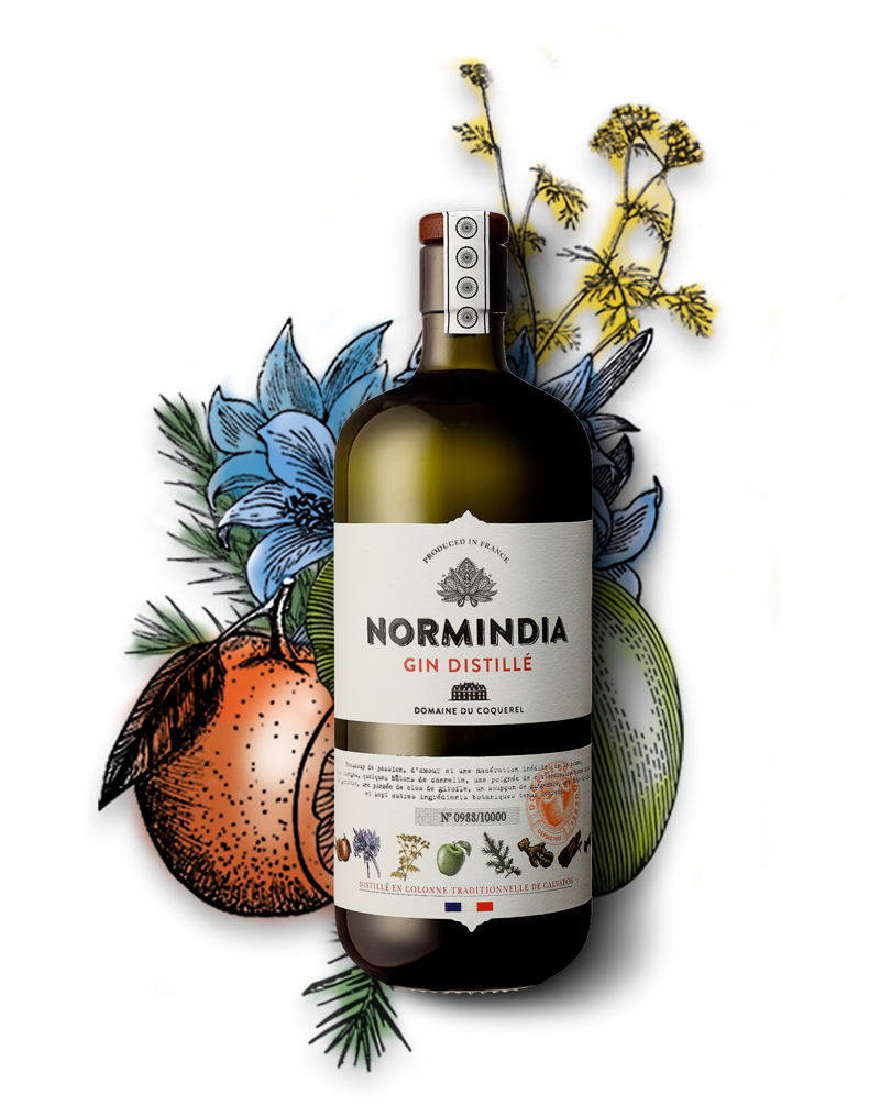Normindia gin - Gin Français - 41,4°