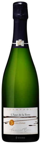 Champagne Françoise Bedel - L'Âme de la Terre (Extra-Brut)